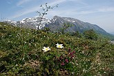 25 Sentiero Rifugio Capanna 2000